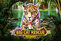Big Cat Rescue Megawaysâ„¢